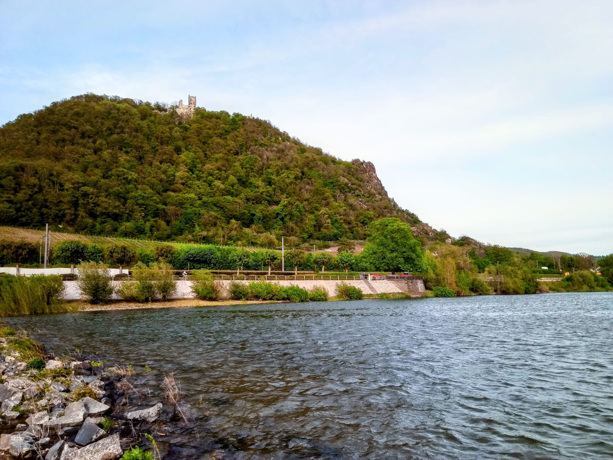 Drachenfels bei Königswinter von einer Bohle aus